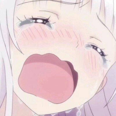 11月新规来了